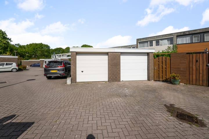 Foto 3 van Ruwe Bies 18