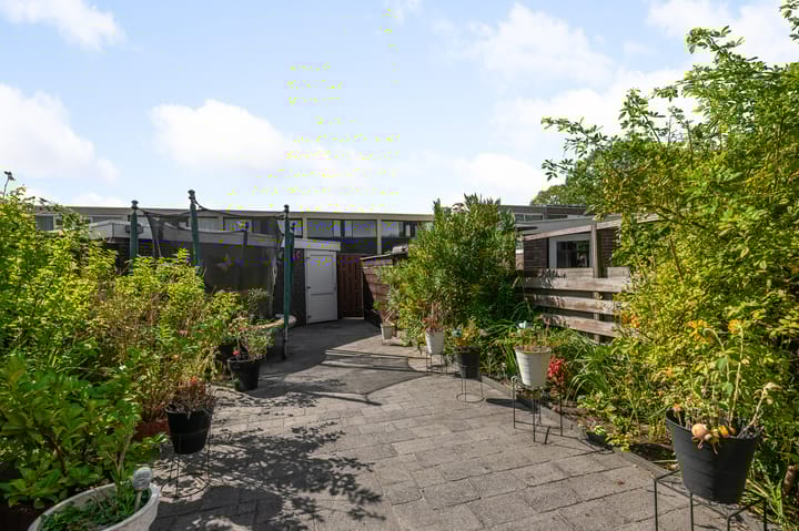 Foto 24 van Ruwe Bies 18