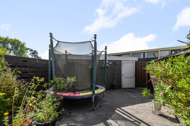 Foto 27 van Ruwe Bies 18