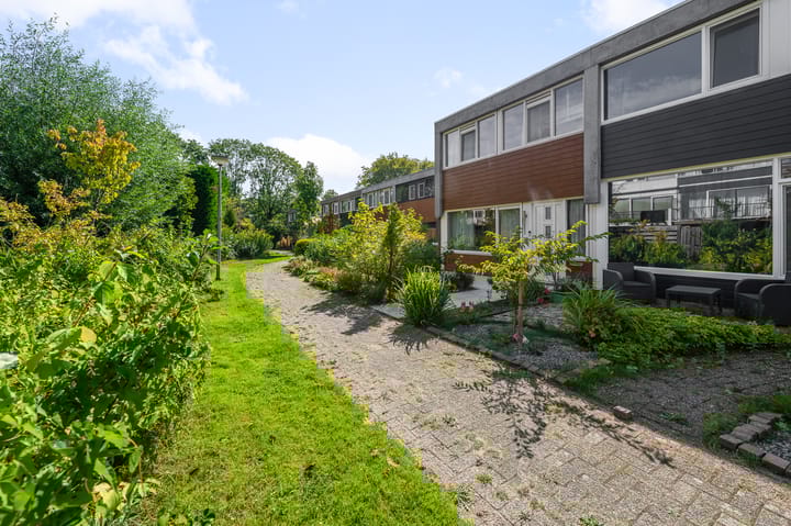 Foto 28 van Ruwe Bies 18