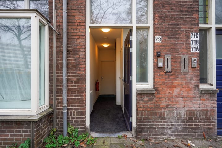 Foto 3 van Delfgauwseweg 73-D