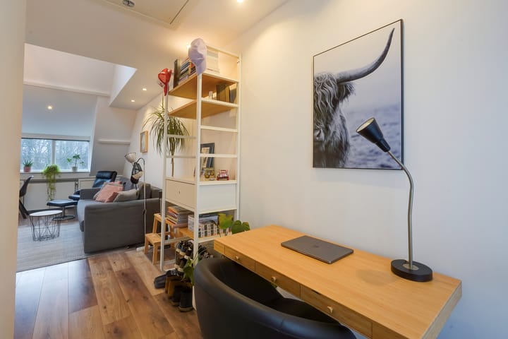 Foto 17 van Delfgauwseweg 73-D