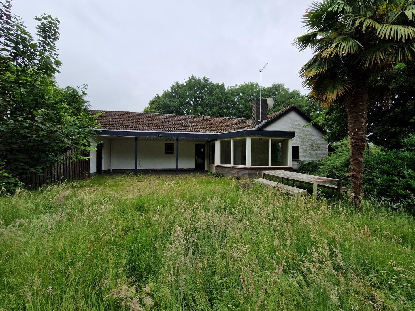 Kreijelmusweg 7 - Nederweert - Afbeelding 7