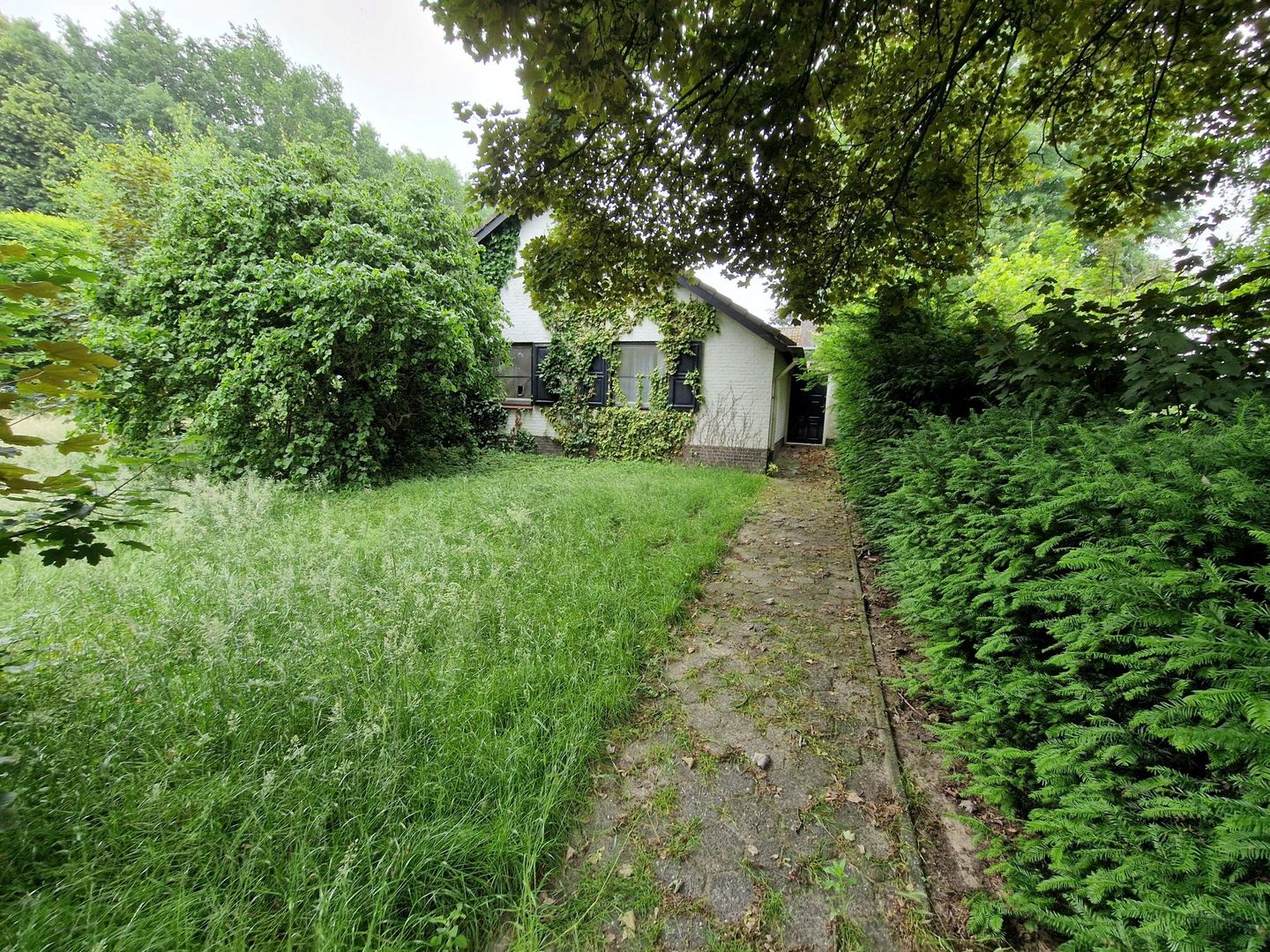 Bekijk foto 5 van Kreijelmusweg 7