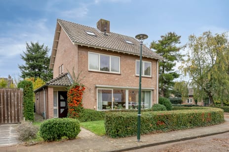 Wilgenstraat thumbnail