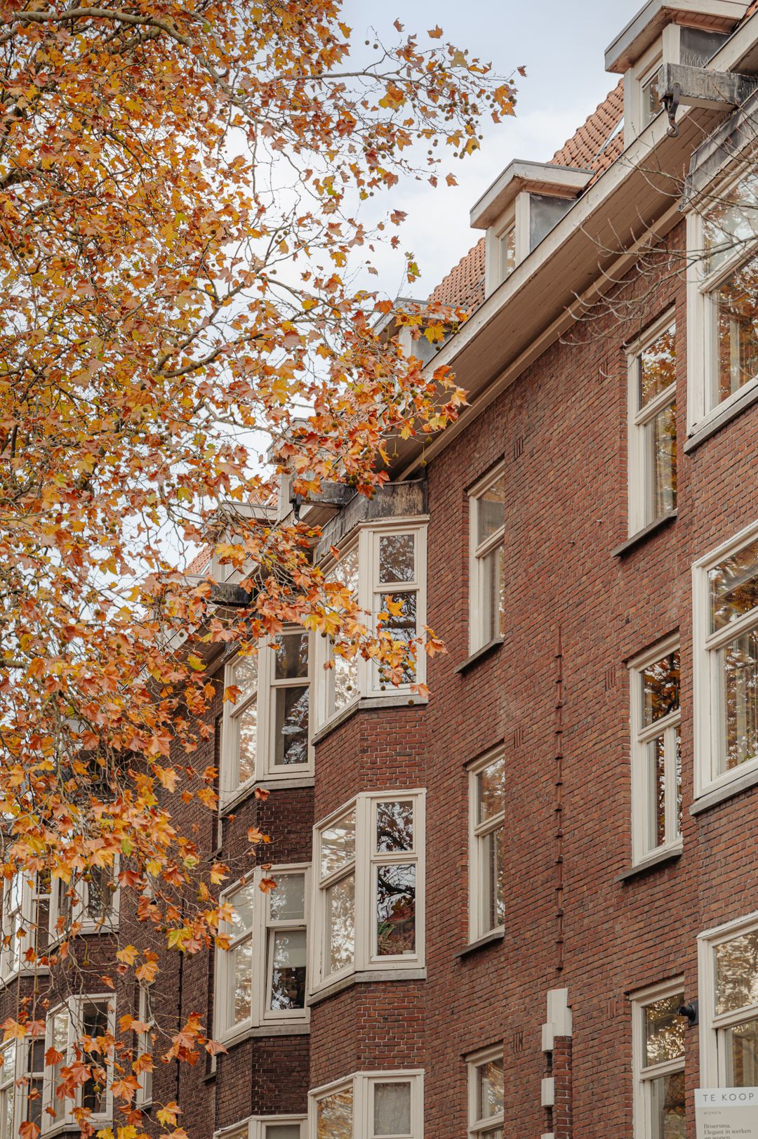 Foto 26 van Van Tuyll van Serooskerkenweg 4-3