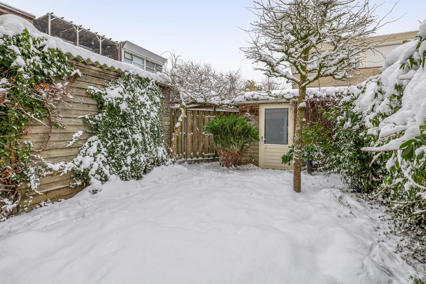 Photo 35 of Wilslaan 32