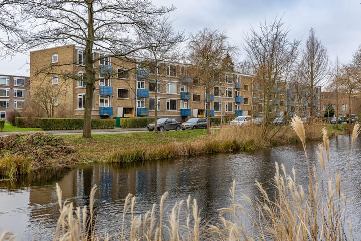 Hora Siccamasingel 115