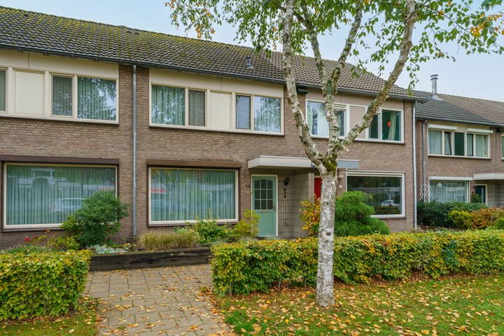 Foto 7 van De Mommers 13