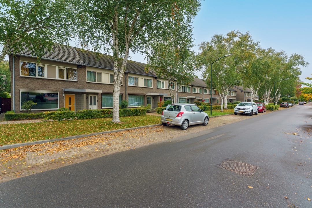 Foto 8 van De Mommers 13