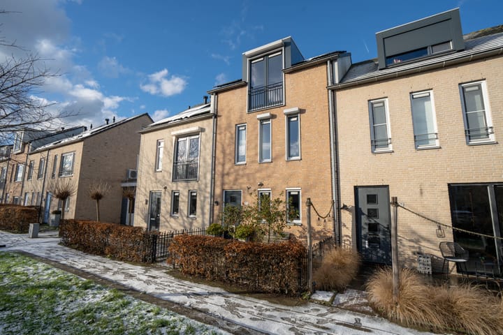 Midgard 37 main image