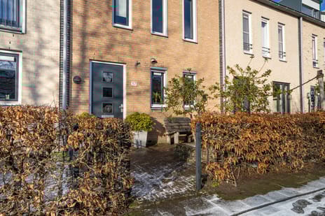 Midgard 37 tertiary image