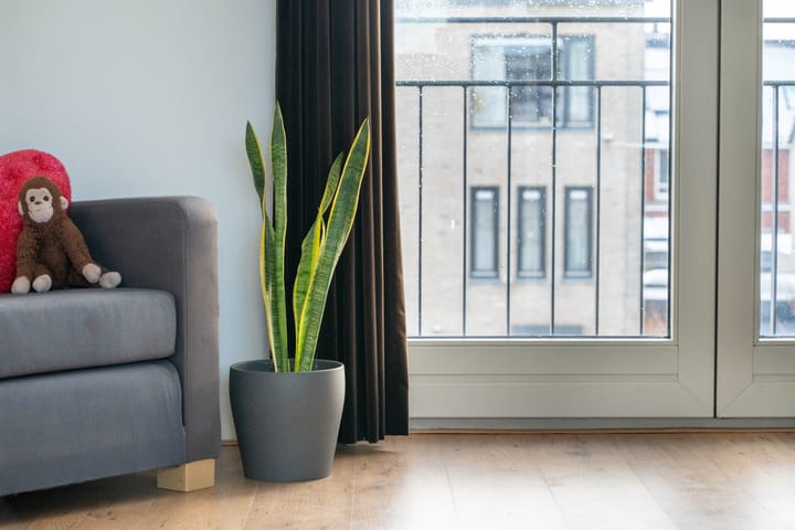 Foto 41 van Midgard 37