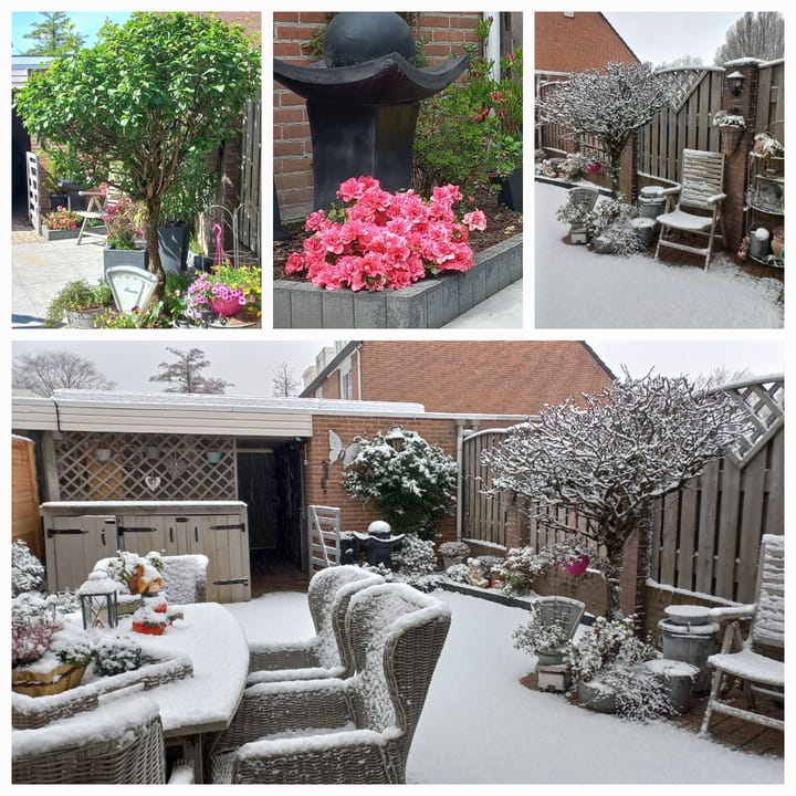 Foto 30 van Het Lover 64