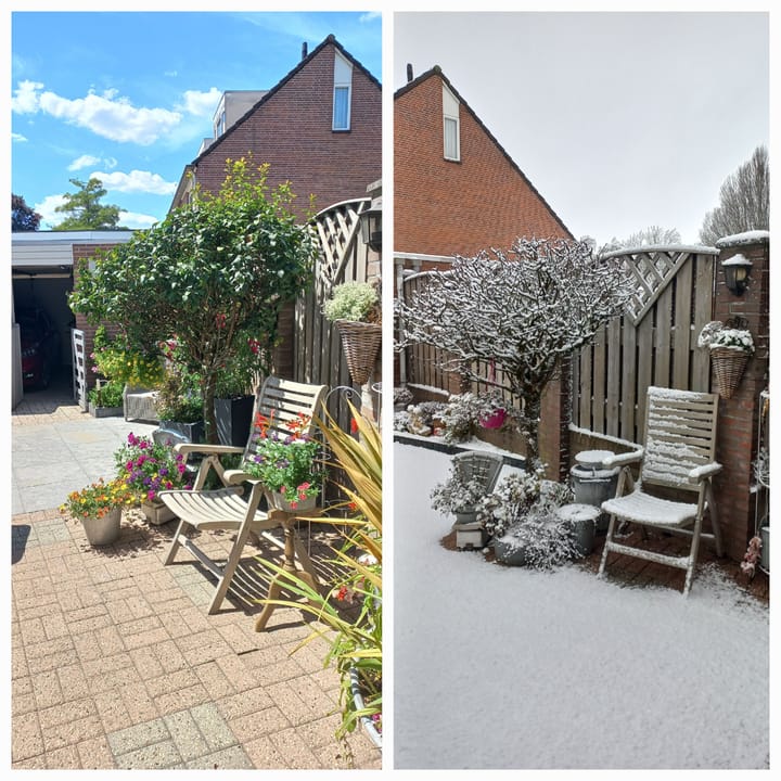 Foto 31 van Het Lover 64