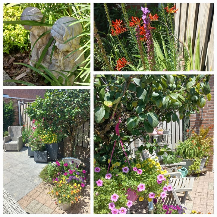 Foto 32 van Het Lover 64