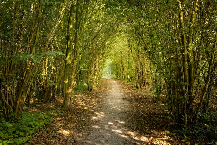 Foto 59 van De Opslach 24