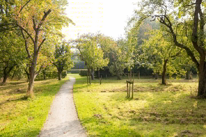 Foto 64 van De Opslach 24