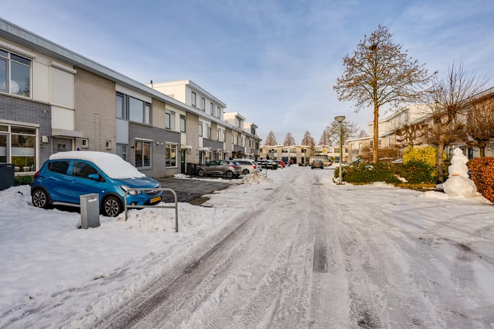 Foto 3 van Mahonie 187