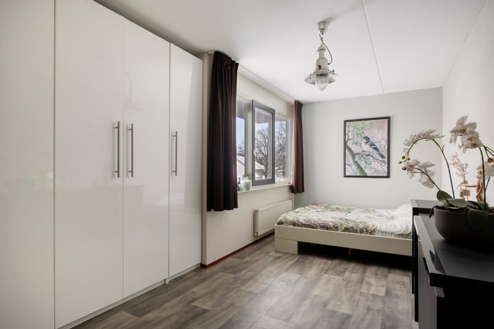 Foto 9 van Betelgeuze 2