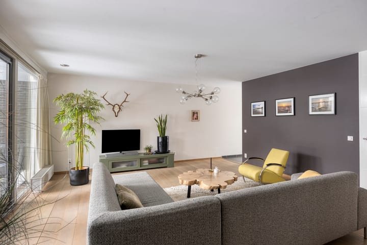 Foto 15 van Betelgeuze 2