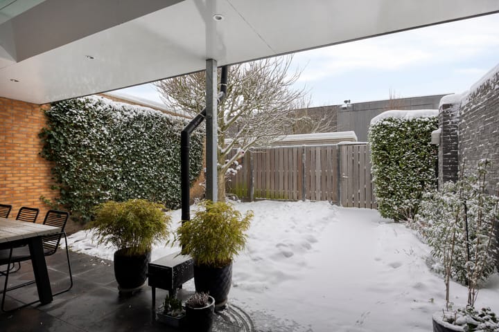 Foto 40 van Betelgeuze 2