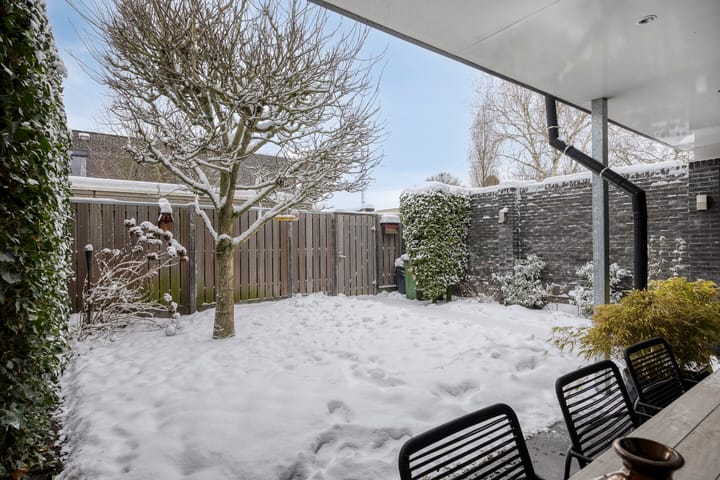 Foto 41 van Betelgeuze 2