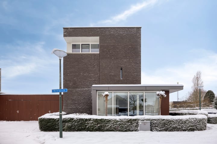 Foto 48 van Betelgeuze 2