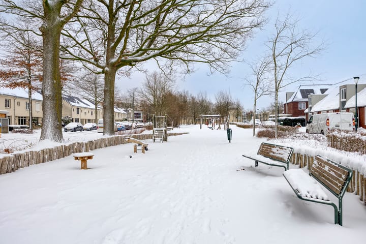 Foto 51 van Betelgeuze 2