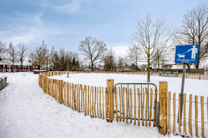 Foto 52 van Betelgeuze 2