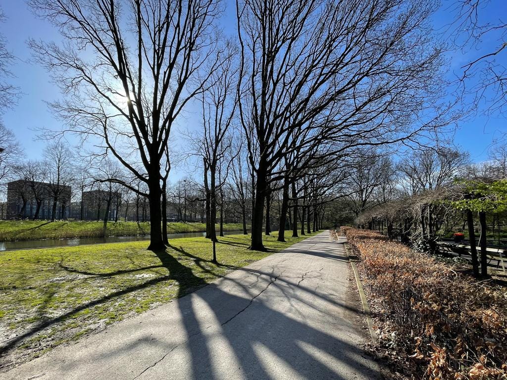 Photo 36 of Gulden Winckelplantsoen 28-3