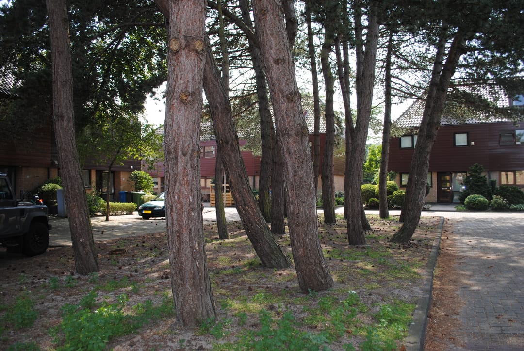 Foto 2 van Dahliahof 2