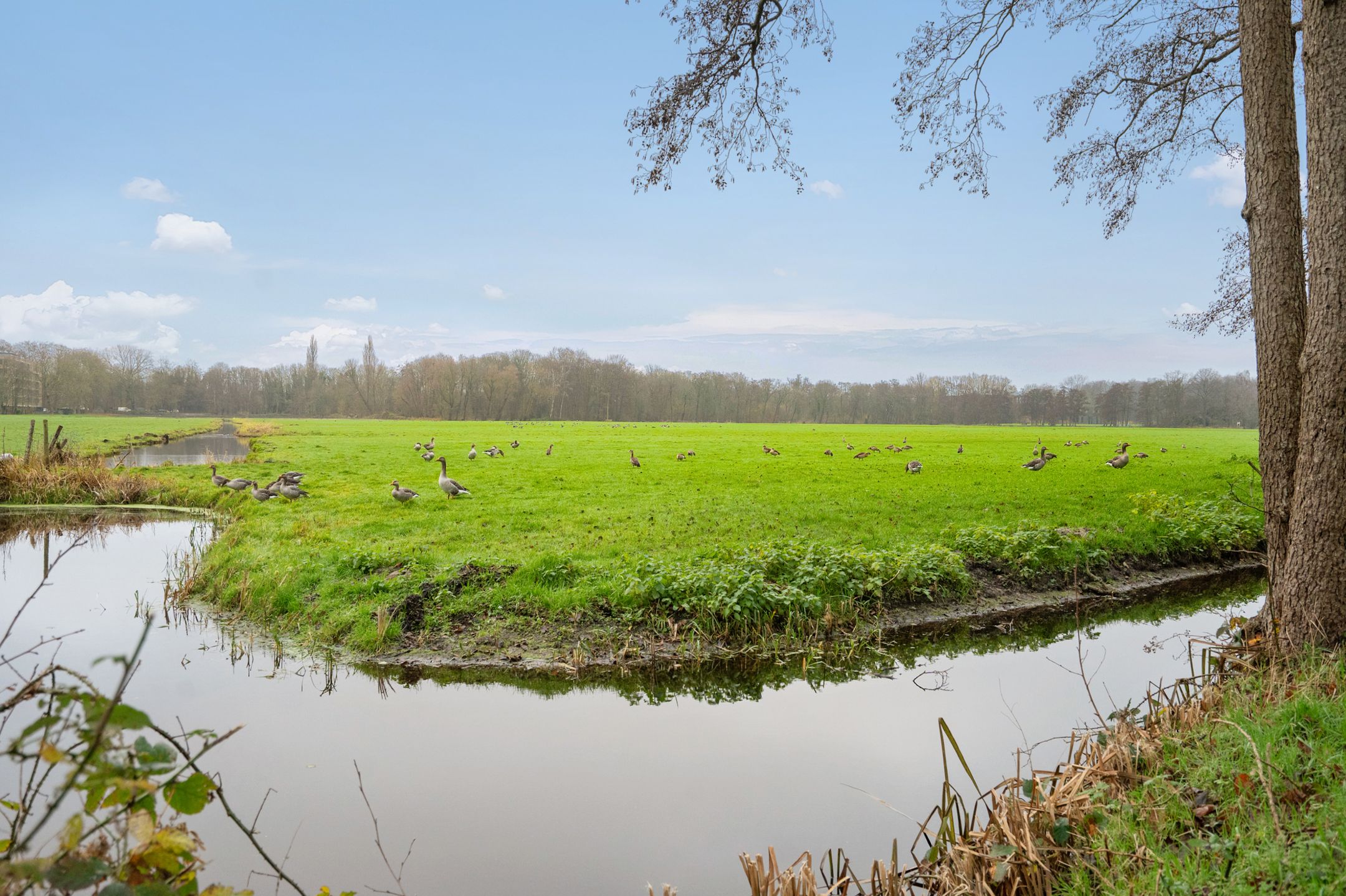 Photo 36 of Reigersbergenweg 12