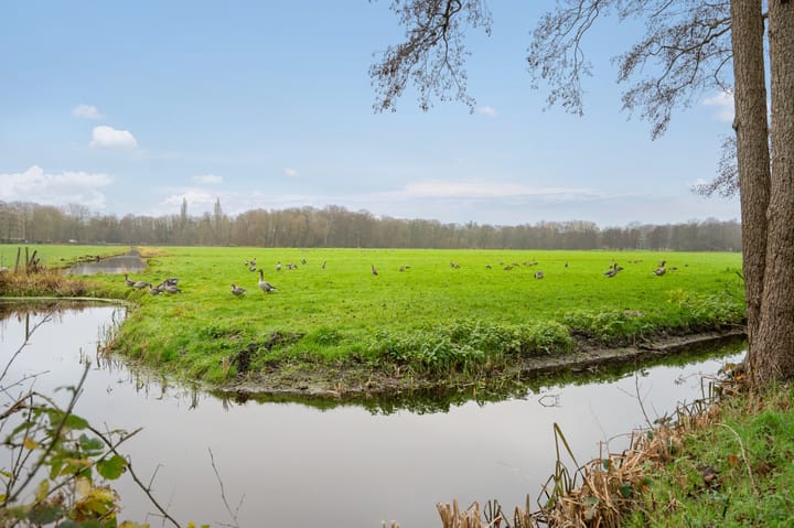 Foto 36 van Reigersbergenweg 12