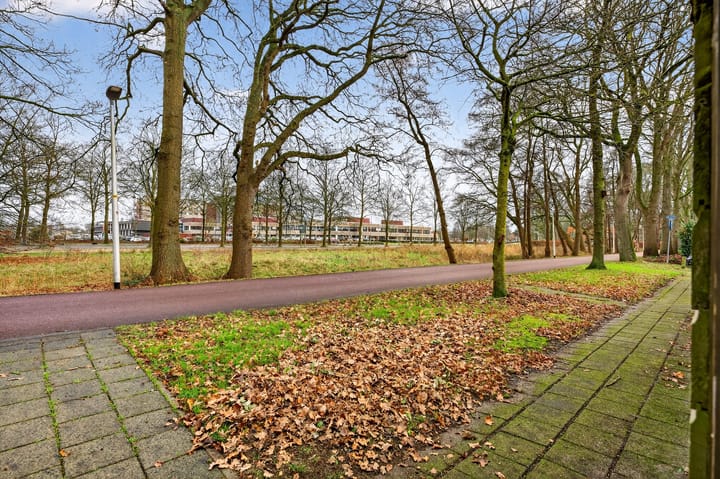 Foto 37 van De Gent 18