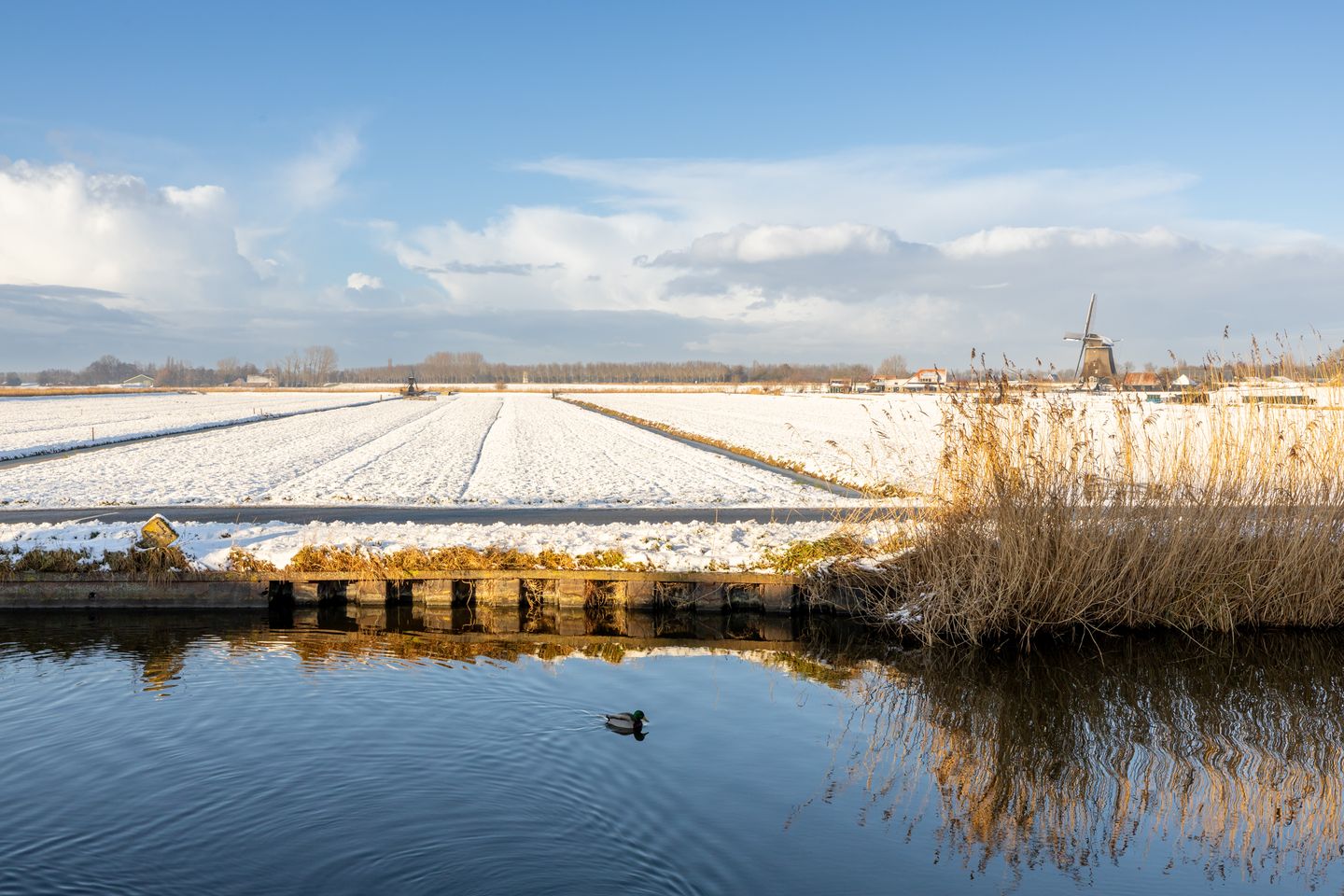 Foto 50 van Raadhuisstraat 10