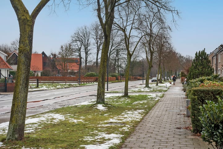 Foto 38 van Seringenstraat 34