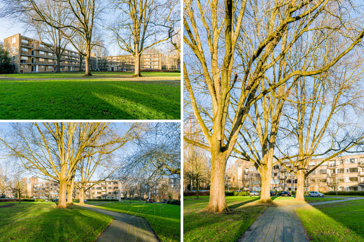 Foto 27 van Sportlaan 28