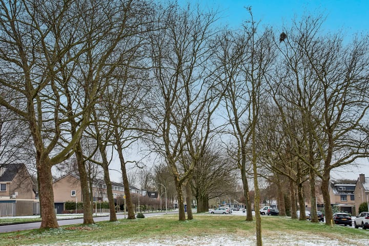 Foto 25 van Staringstraat 34