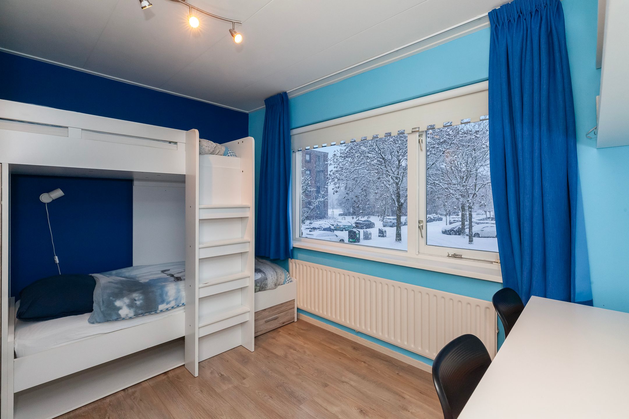 Photo 18 of Treubstraat 3