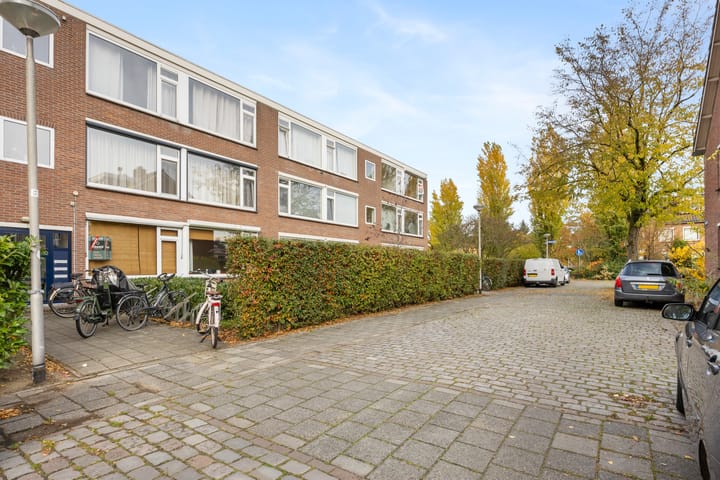 Foto 5 van Wisentstraat 18