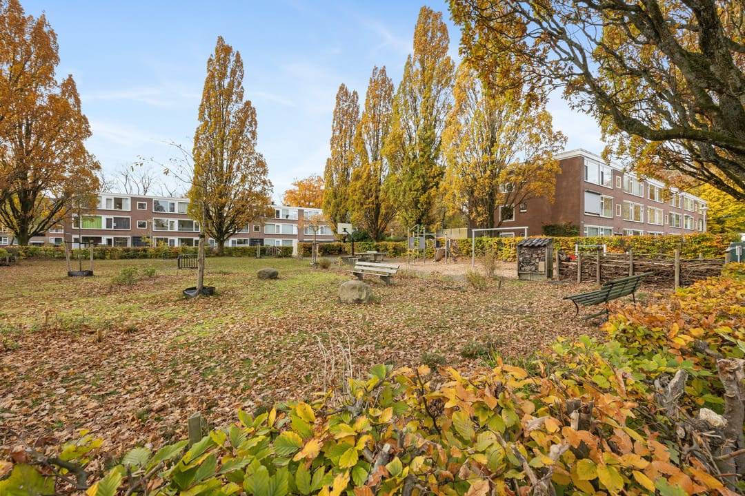 Foto 41 van Wisentstraat 18