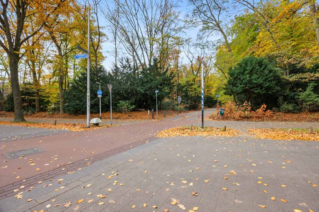 Foto 43 van Wisentstraat 18
