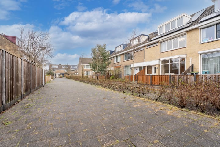 Foto 7 van Hidalgopad 7