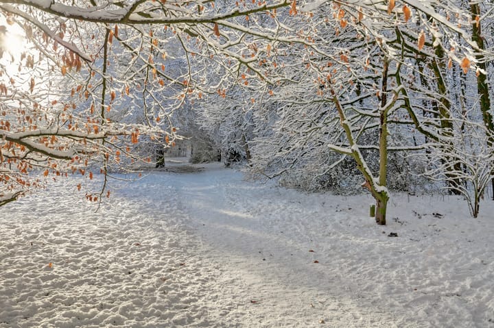 Foto 28 van Eendekamp 84