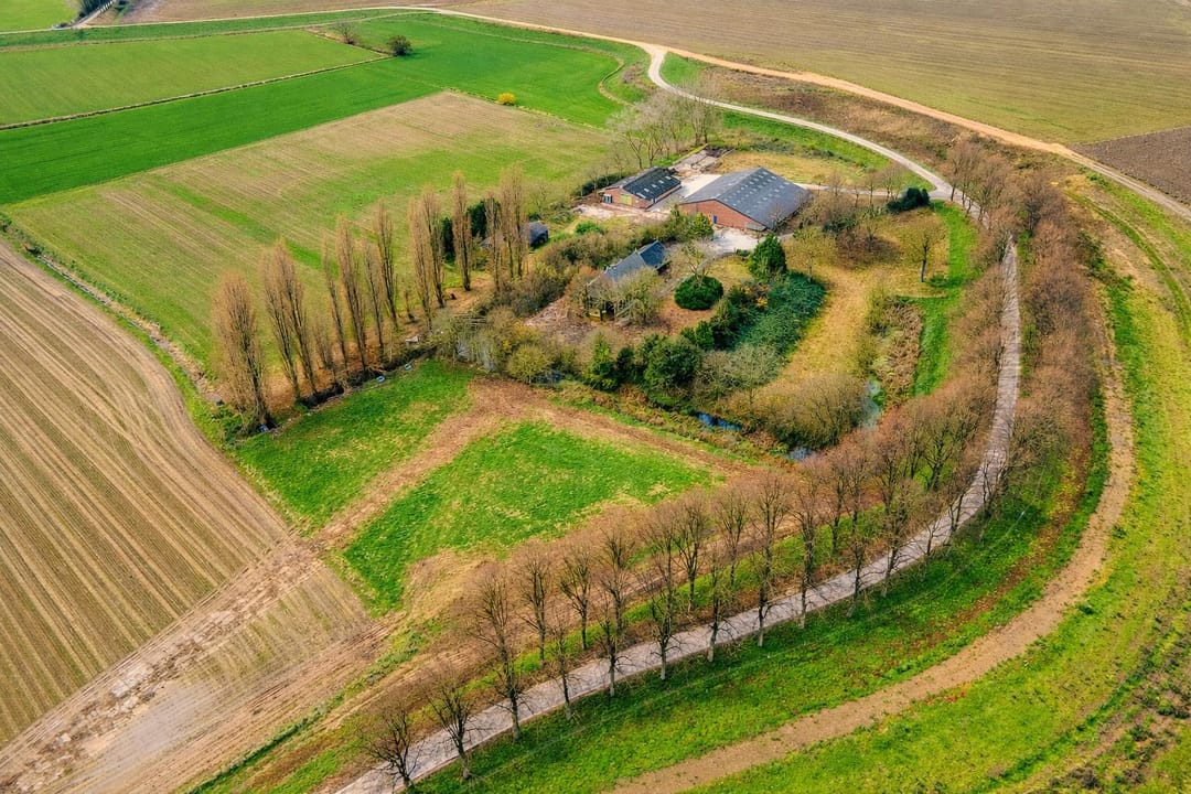 Foto 2 van Maasdijk 81