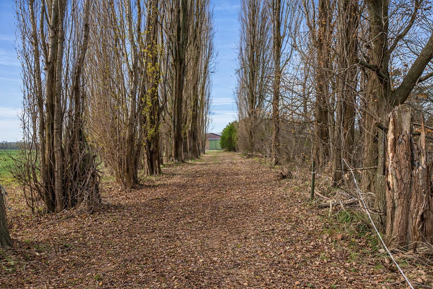 Foto 5 van Maasdijk 81