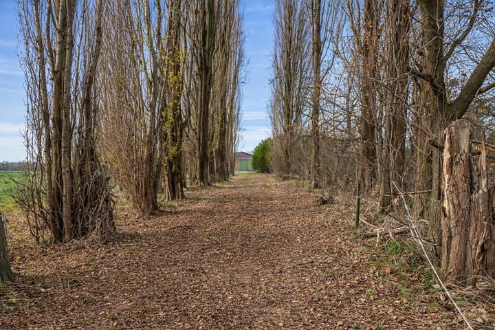 Foto 5 van Maasdijk 81