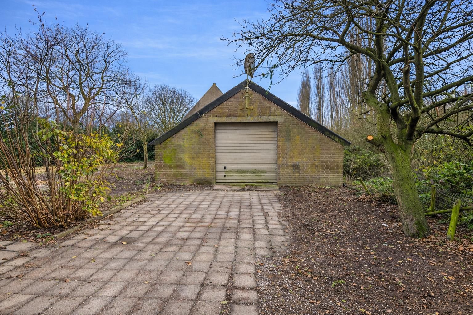 Foto 6 van Maasdijk 81