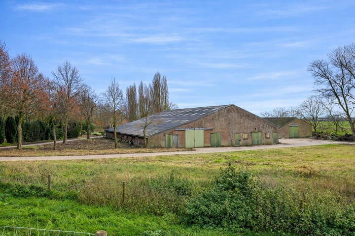 Foto 7 van Maasdijk 81